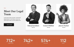 Meet Our Professional Team