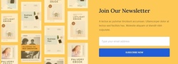 Newsletter Signup Website Templates