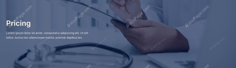 Professional Pricing Overview Website Template