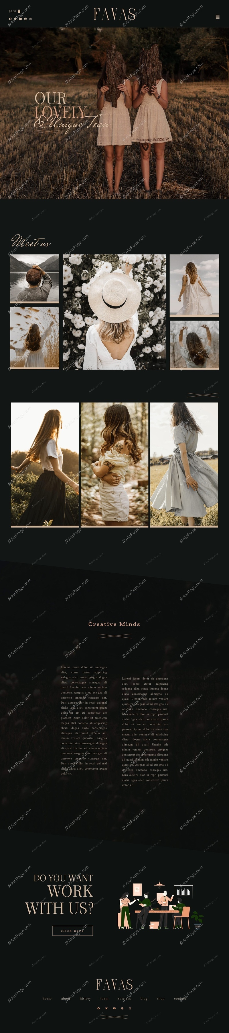 Chic & Elegant Team Showcase Website Template
