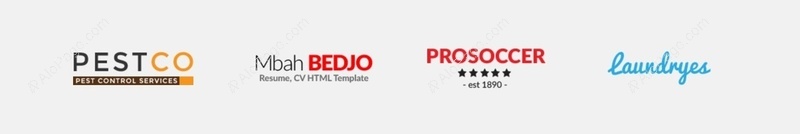 Diverse Brand Logo Showcase Website Template