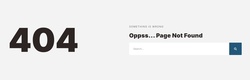 Page Not Found Error