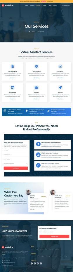 Professional Virtual Assistant Services For Your Business