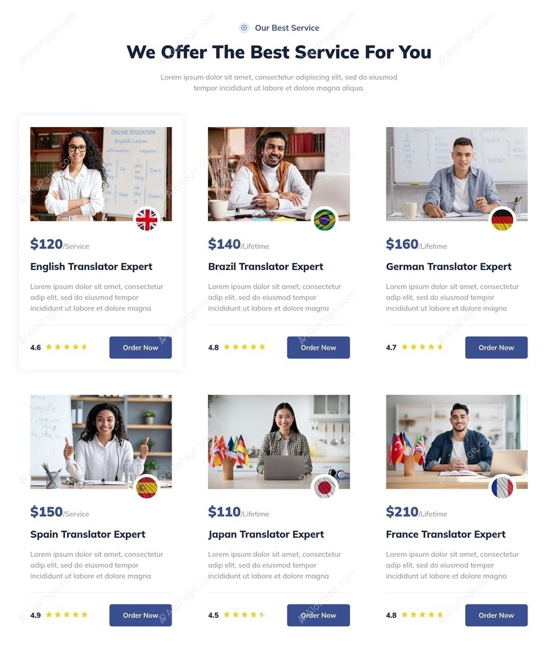 Professional Translation Service Packages Website Template
