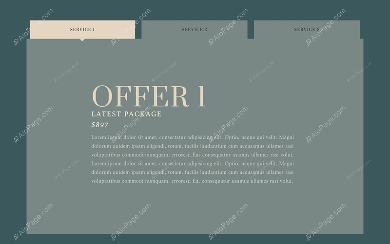 Exclusive Offer Package - Transform Your Service Experience Website Template