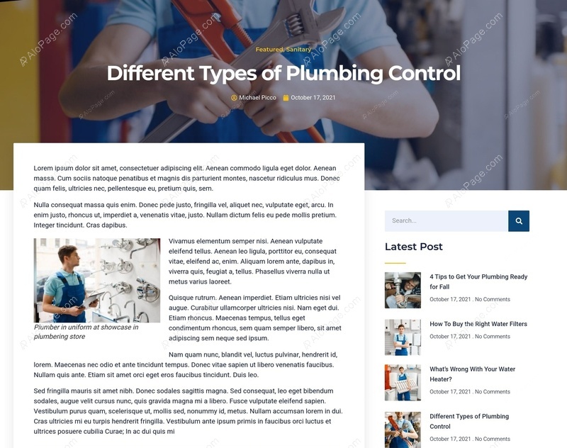 Exploring Plumbing Control Systems Website Template