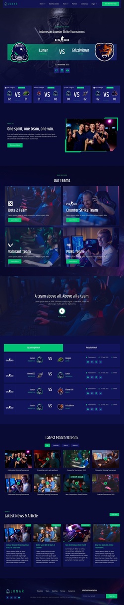 Entertainment & Media Website Templates