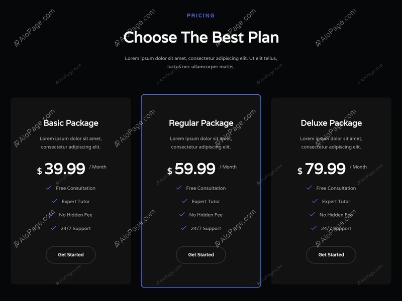 Choose Your Ideal Plan Website Template
